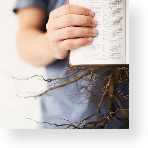 featurephotos_growth